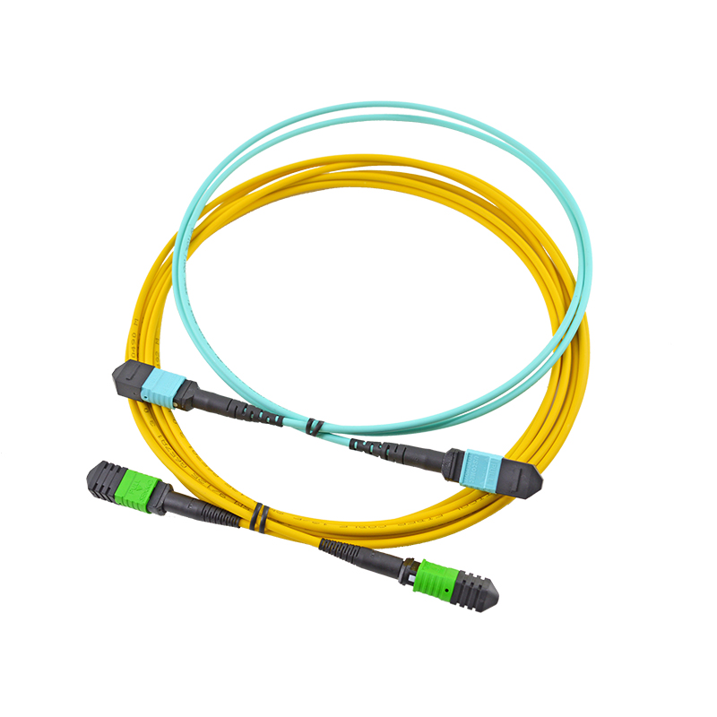 MPO/MTP Patch Cord